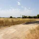 ...che indica l�inizio di un sentiero che prosegue in un vasto campo